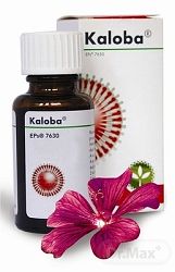 Kaloba gtt.por.1 x 50 ml