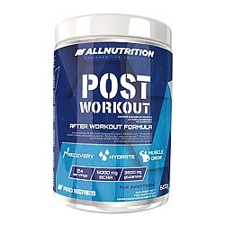 All Nutrition Post Workout 600 g fruit punch