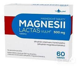Magnesii Lactas Vulum 500 mg tbl. 60 x 500 mg