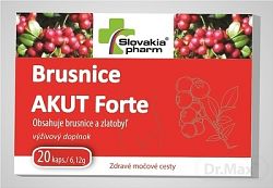 Slovakiapharm Brusnice Akut Forte 20 kapsúl