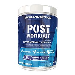 All Nutrition Post Workout 600 g fruit punch